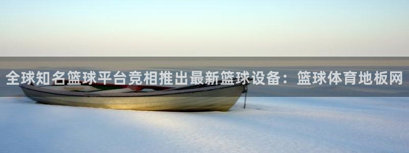 全球知名篮球平台竞相推出最新篮球设备：篮球体育地板网