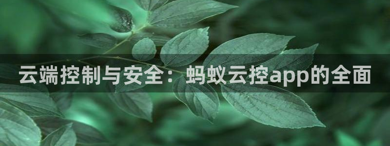 云端控制与安全：蚂蚁云控app的全面