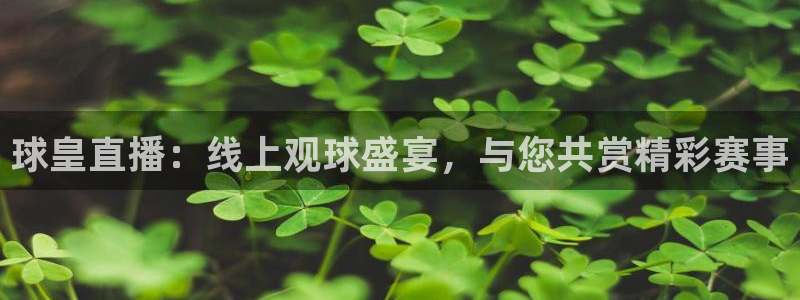 乐球在线观看免费直播 2023