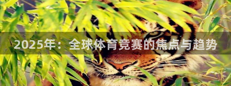 乐球体育直播超清：2025年：全球体育竞赛的焦点与趋势