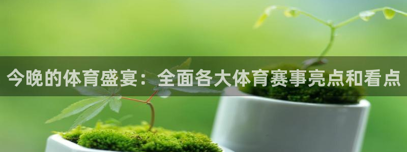 乐球直播(免费版)