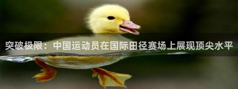 乐球体育直播吧：突破极限：中国运动员在国际田径赛场上展现顶尖水平